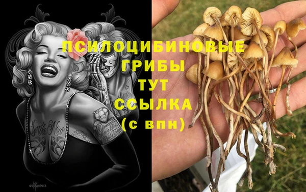 спайс Алексин